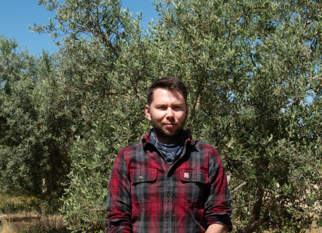 Huile d'olive bio AOP de Haute-Provence des Terres de Bonaventure