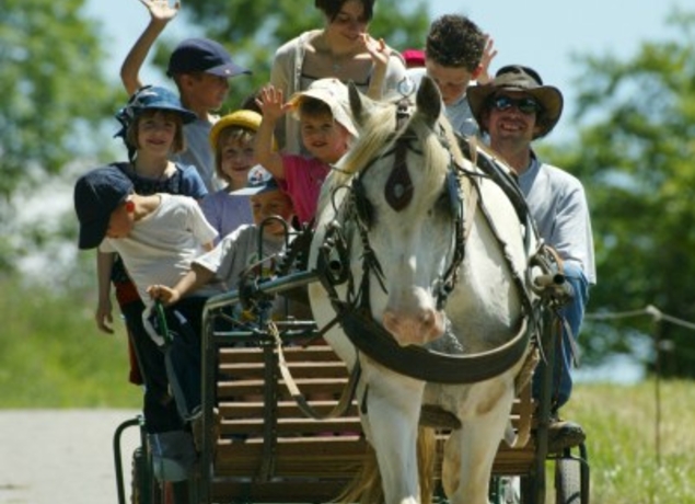 Au fer à cheval, gîte de groupe, Tarn, activité nature et équestre