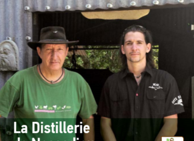 La Distillerie de Nessadiou