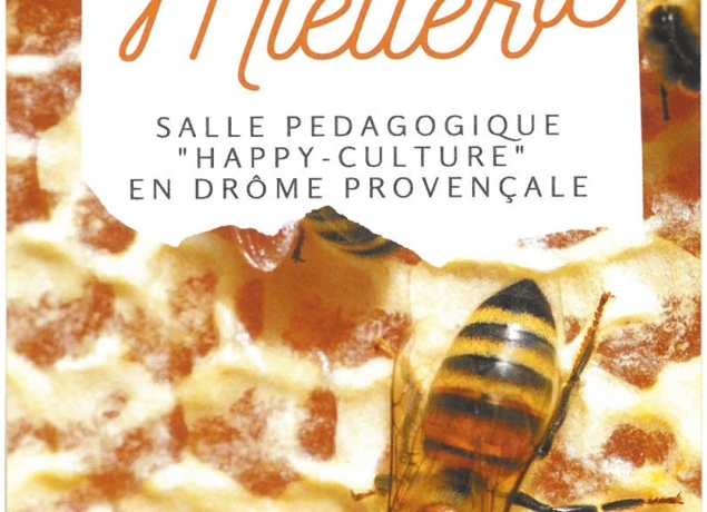 Miel de Châtaignier - Miellerie Délices au Miel - Vente miel, pain d'épices  - Apiculteur Drome