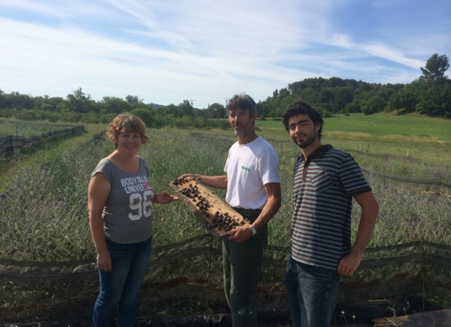 L'ossature bois - Les escargots de Roussillon en Provence