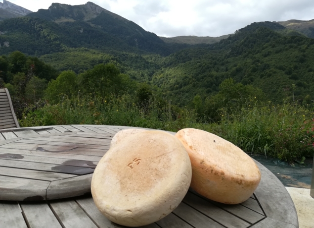 poulou_5sept19_fromage_et_paysage_3.jpg
